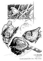 https://images.plurk.com/4mLFGVD4vLDce7byxJag1m.png