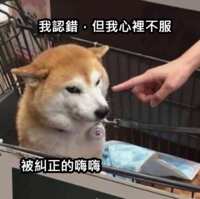 https://images.plurk.com/4mUqVBAxhRslmqvOywWs81.png