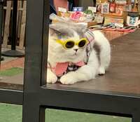 https://images.plurk.com/4mbnqey3g4j3QmqobNWOXo.jpg