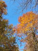 https://images.plurk.com/4mm3yVK2brIwF9g8BKYx4v.jpg