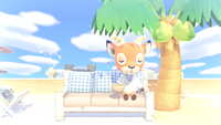 https://images.plurk.com/4mp03q8rIRFCJnOxeBpO3D.jpg