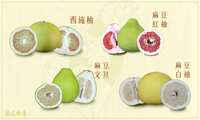 https://images.plurk.com/4mtQPoBsFNZP8xtxPxogCQ.jpg