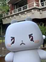 https://images.plurk.com/4mxpKIdRpJTIRuD4hkKtYV.jpg