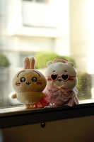 https://images.plurk.com/4n1CuJ0EpxHFU3cbCN1aui.jpg