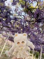 https://images.plurk.com/4n1QtbPg06bawsshwNfPf0.jpg