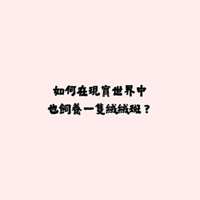 https://images.plurk.com/4n3tiTLQiHB3rCQNq5mFi2.png