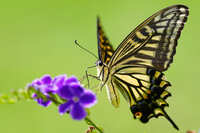 https://images.plurk.com/4n5HsYxhIK4IE3ztbftlgy.jpg