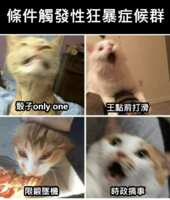 https://images.plurk.com/4n5het2mocYcJ7ZQJVnfwm.png