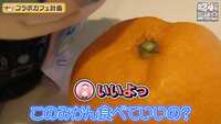 https://images.plurk.com/4n6tj9vfuxjCebGbBKgz9L.png