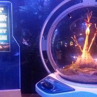 https://images.plurk.com/4n852vQtannuQ7QEA1yD.jpg
