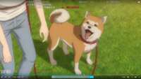 https://images.plurk.com/4nEPwoTUvmuq3lKJR6K7OI.png