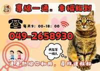 https://images.plurk.com/4nIp5USrV5X3jXYv2oExGl.jpg