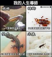 https://images.plurk.com/4nK17UDbxovGs6uz1gaMYc.jpg