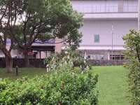 https://images.plurk.com/4nazo7VLIRwtxsKrLj4ZSA.jpg