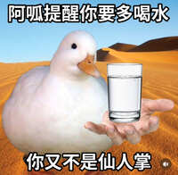 https://images.plurk.com/4o35cuF1M4nlE1nTk0HM3M.jpg