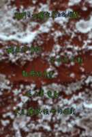 https://images.plurk.com/4o6tcFuwCNDI4MgKzD1IWR.jpg