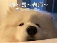https://images.plurk.com/4o9zCGywYHyazmHJdhHoMQ.jpg