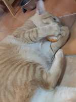 https://images.plurk.com/4oFUH0J7jBGqsRcfisxYiN.jpg