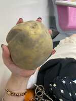 https://images.plurk.com/4oG9jrhBA4NERL7esEet7I.jpg