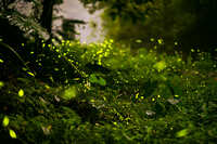 https://images.plurk.com/4oMcakzhurVgMKX5Sl5i74.jpg