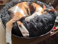 https://images.plurk.com/4oO8HYGbXQSac3ETB1PZjY.jpg