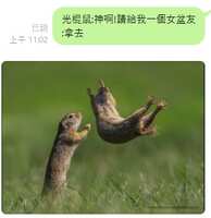 https://images.plurk.com/4oRGfwuWQpLvQuZ9KMuQQ8.png