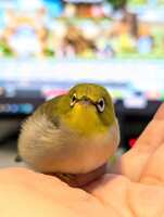 https://images.plurk.com/4oUsBxoCRePtcjSRILP27U.jpg
