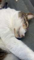 https://images.plurk.com/4obFcdM6kXqpiBMmkFRw2R.jpg