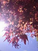 https://images.plurk.com/4oh18WDys88nTZ602OSGjZ.jpg