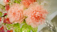 https://images.plurk.com/4ol6YIOsIticvmyLYOMVsV.jpg