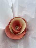 https://images.plurk.com/4on1QGbmNGl6xxri3mvX0z.jpg