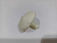 https://images.plurk.com/4onFKKje8Kwp2dZ1VgPtCA.jpg