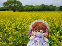 https://images.plurk.com/4opZaFWSVwp9aDR384029q.jpg