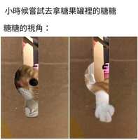 https://images.plurk.com/4orCLB0AX6XGGIQgynfetp.jpg