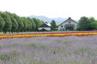 https://images.plurk.com/4p3XnZciGjlgS9HWgVStaP.jpg