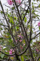 https://images.plurk.com/4p59ECuymbr2ofDvRq4ngY.jpg