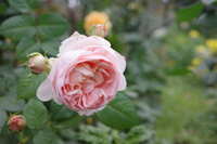 https://images.plurk.com/4p99ARf5cXJ1aYu78HNYaP.jpg