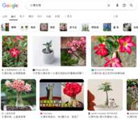 https://images.plurk.com/4pEM6qZffiGOozKlTD6oXC.png