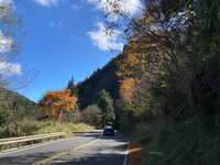 https://images.plurk.com/4pHcBGtYDSHwxbYCjDFJI2.jpg
