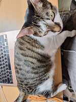 https://images.plurk.com/4pHlzhOsOTRbOgT7TqM9yF.jpg