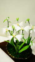 https://images.plurk.com/4pSfGbKdWohCAKX0MsMtrw.jpg