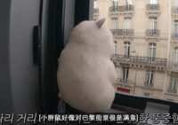 https://images.plurk.com/4pgwDcHViqI9heZZ2evj7s.png