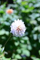 https://images.plurk.com/4piDbElZaQV4yXWxNH2cx2.jpg