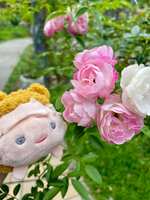 https://images.plurk.com/4pmje7xD6rCBpg6P1xPvEf.jpg