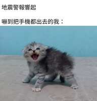 https://images.plurk.com/4prhn2MOmXTkaG0dYkPPqu.jpg