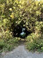 https://images.plurk.com/4pyI90Aa6EFDWpEVIYw2ca.png