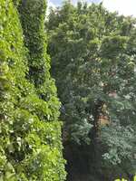 https://images.plurk.com/4q2wFDpNAL6grWR8PBM5MD.jpg