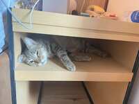 https://images.plurk.com/4q5mt2IEMiLe47JYQV7t4q.jpg