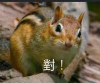 https://images.plurk.com/4qCBR1dIYBHvD2UGZZfqiU.jpg