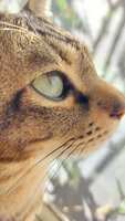 https://images.plurk.com/4qRqy17Hi59cogGQWzLxyY.jpg